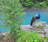 Голубое озеро - фото 1