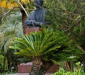 Ботанический  сад в Сухуме - фото 9