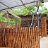Кафе «Бамбук» - фото 4