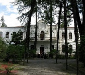 Абхазский государственный музей - фото 3